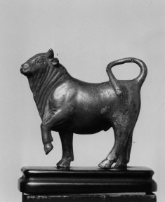 Bull