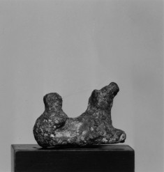 Quadruped
