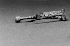 Fibula