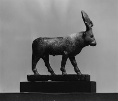 Apis, Bull of Memphis