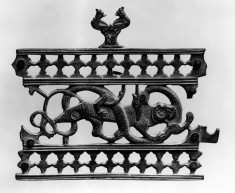 Lion Attacked by a Snake