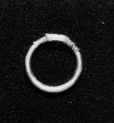 Ring with Fixed Bezel