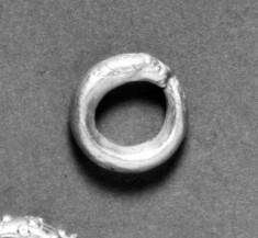 Hoop Earring