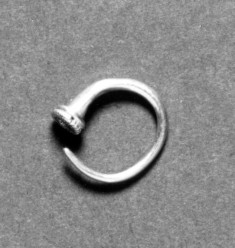 Hoop Earring