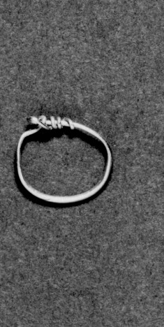 Hoop Earring