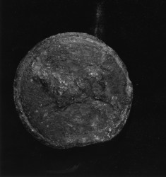Semis (Aes Grave) of the Roman Republic