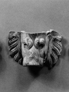 Head of a Lion