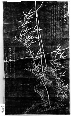 Bamboo and rock