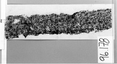 inscriptions