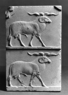 Model with Two Rams