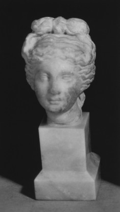 Head of Venus