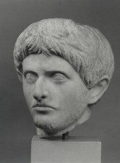 Male Portrait Head