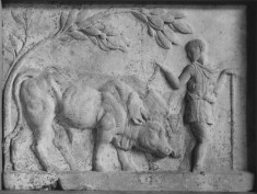 Relief of a Herdsman and Oxen