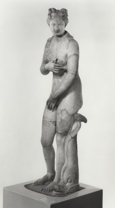 Venus of the "Capitoline Venus" Type
