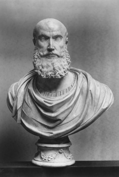 Bust of a Man