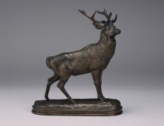 Stag Listening