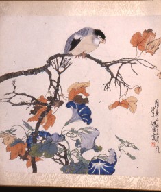 Bird on Maple Branch with Morning Glories