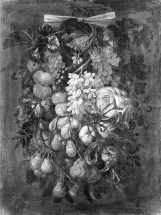 Still Life of Fruits