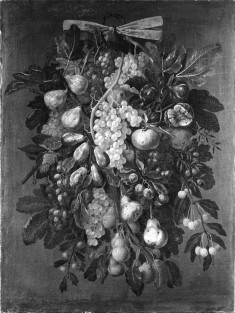Still Life of Fruits