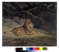 Lion at Rest