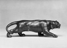 Prowling panther