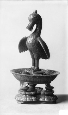 Duck standing on tortoise and snake
