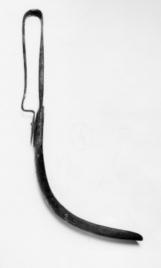 Strigil