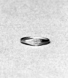 Child's Rings with a Palm Branch