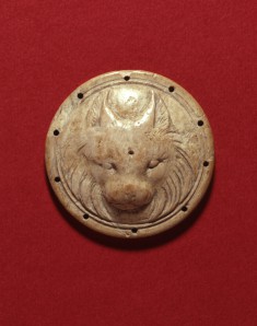 Lion's Face