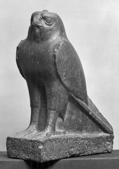 Falcon Sacred to Horus