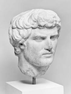 Male Portrait Head