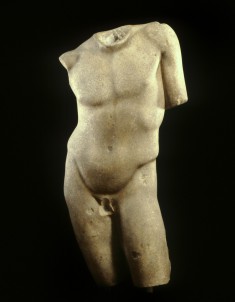 Youth of the Narcissus Type