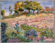 Landscape