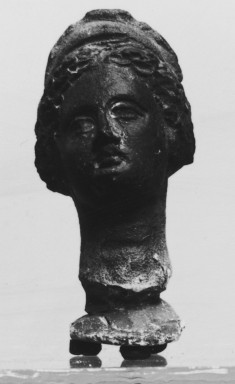 Head of a Woman
