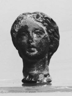 Head of a Woman