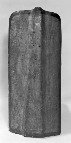 Archer's Shield