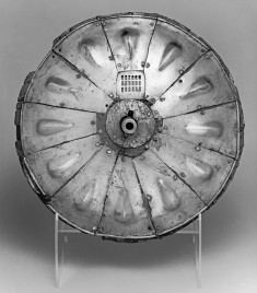 Gun Shield