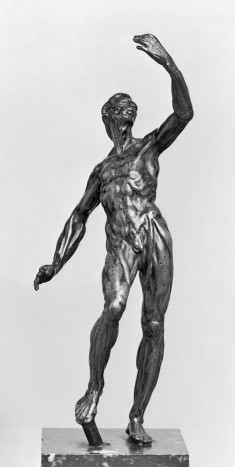 Anatomical Figure of a Man