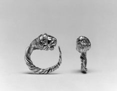 Pair of Hoop Earrings with Lion's Head