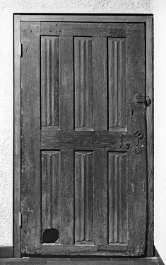 Door with Cat Hole