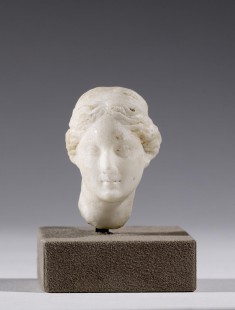 Head of a Maiden