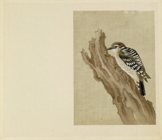 Leaf from Album Depicting Small Birds