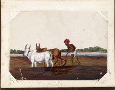 Leaf from Bound Collection of Twenty Miniatures Depicting Village Life