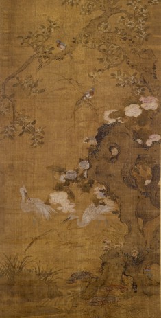 Song Birds, Herons, Rock, and Flowering Plants and Tree
