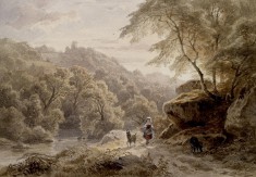 Woodland and River Scene