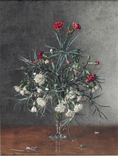 Vase of Red and White Carnations