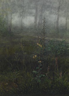 Woodland Scene with Floral Foreground