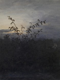 Moonlight Scene