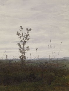 Landscape with Thistle and Weeds
