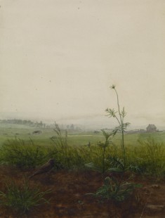 Landscape with Bird and Weeds